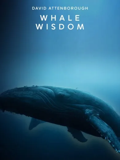 Whale Wisdom