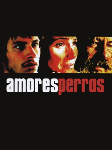 Χαμένες Αγάπες / Amores perros