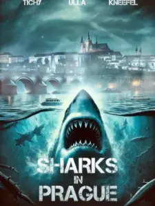 Sharks in Prague