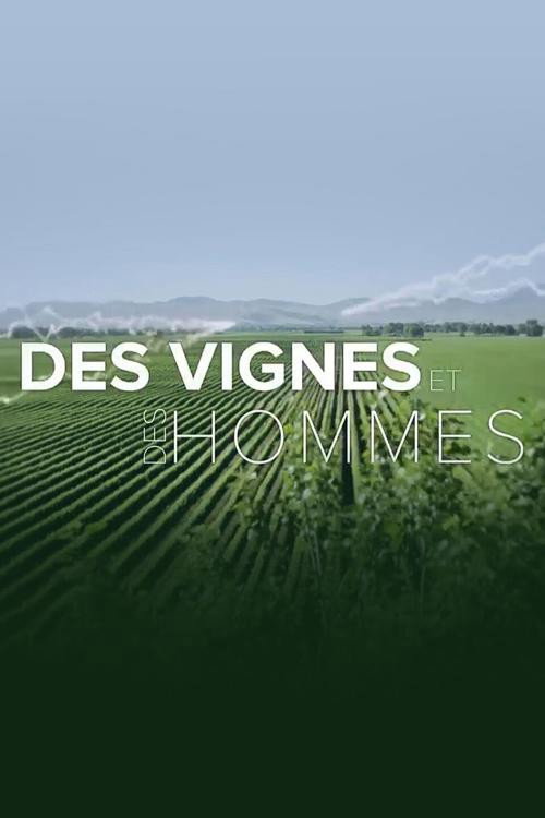Οι Αμπελώνες του Κόσμου / Des vignes et des hommes